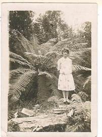Robertson/Webber family woman standing among large tree ferns in a bush setting, light dress, c.1920s–1930s